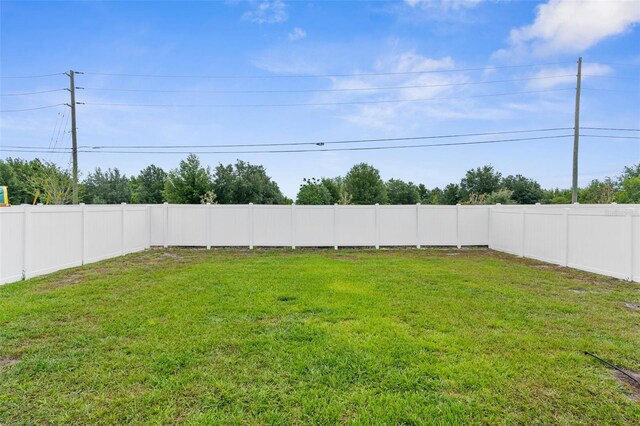 14532 Whitewater Way, Brooksville, FL 34604 - view of yard