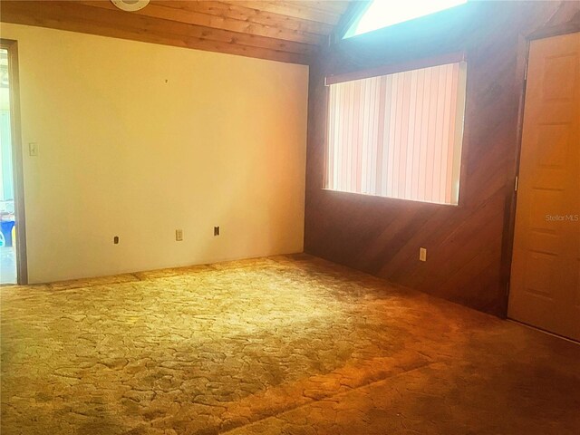 20989 Negril Ct, Lutz, FL 33558 - photo 7