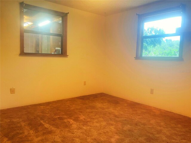 20989 Negril Ct, Lutz, FL 33558 - photo 18