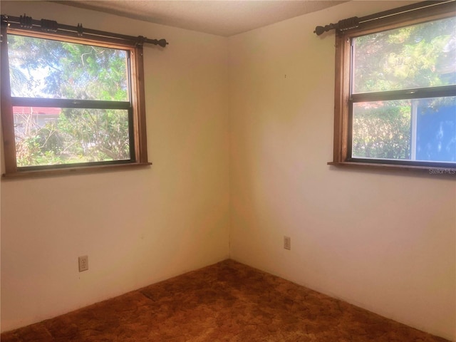 20989 Negril Ct, Lutz, FL 33558 - photo 20
