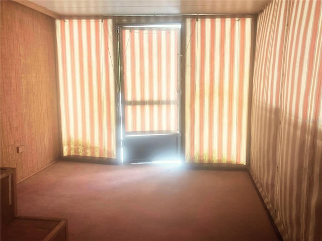 20989 Negril Ct, Lutz, FL 33558 - photo 32
