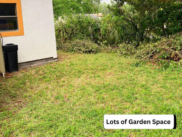 20989 Negril Ct, Lutz, FL 33558 - photo 37