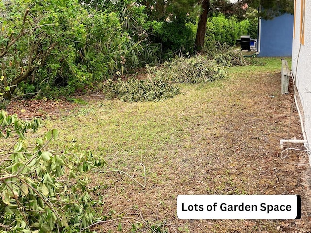 20989 Negril Ct, Lutz, FL 33558 - photo 38