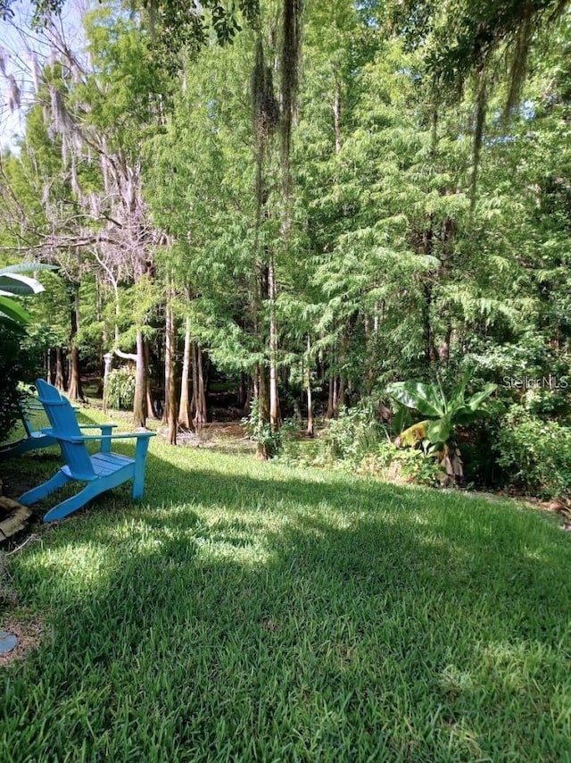 1605 Send Way, Lutz, FL 33549 - view of grassy yard