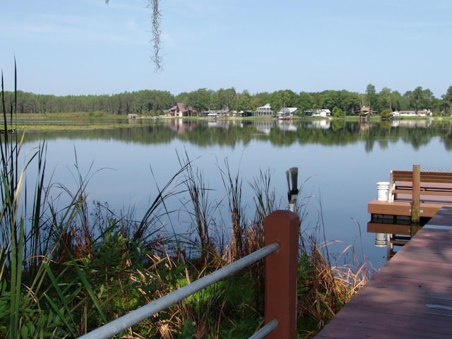 1605 Send Way, Lutz, FL 33549 - dock with a water view