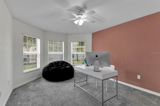 13910 Chalk Hill Pl, Riverview, FL 33579 - carpeted home office with ceiling fan and baseboards
