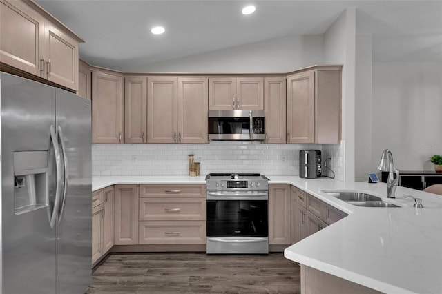 13910 Chalk Hill Pl, Riverview, FL 33579 - kitchen with appliances with stainless steel finishes, a sink, vaulted ceiling, backsplash, and a peninsula