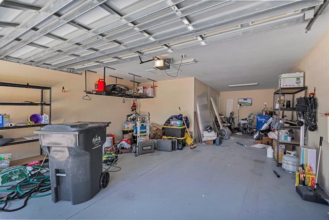 13910 Chalk Hill Pl, Riverview, FL 33579 - garage featuring a garage door opener