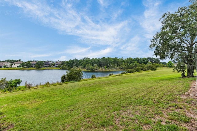 13910 Chalk Hill Pl, Riverview, FL 33579 - water view