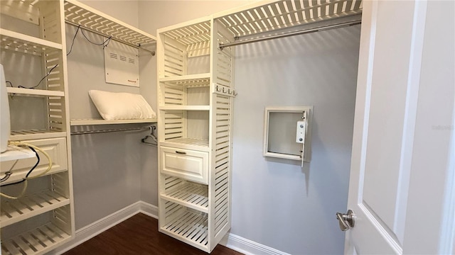 7810 Whitemarsh Way, Reunion, FL 34747 - spacious closet featuring dark wood finished floors