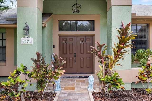 6621 Appaloosa Dr, Tampa, FL 33625 - doorway to property with stucco siding and a shingled roof