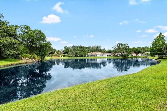 6621 Appaloosa Dr, Tampa, FL 33625 - water view