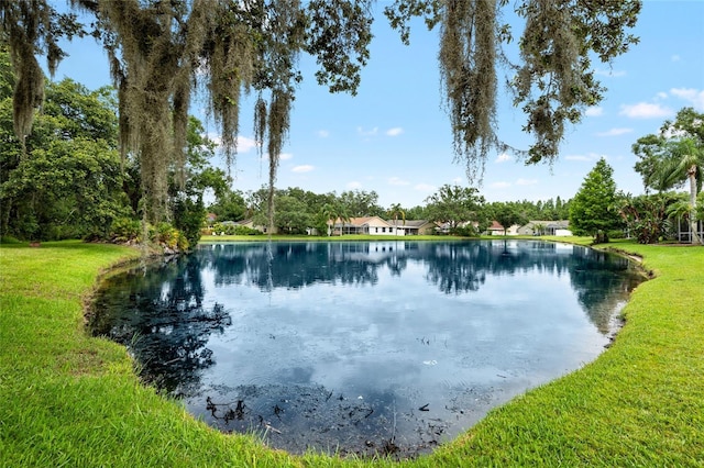 6621 Appaloosa Dr, Tampa, FL 33625 - water view