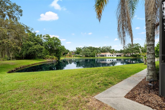 6621 Appaloosa Dr, Tampa, FL 33625 - water view