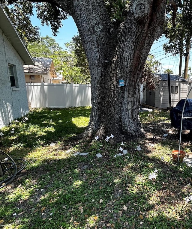 715 2nd Ave NE, Largo, FL 33770 - view of yard