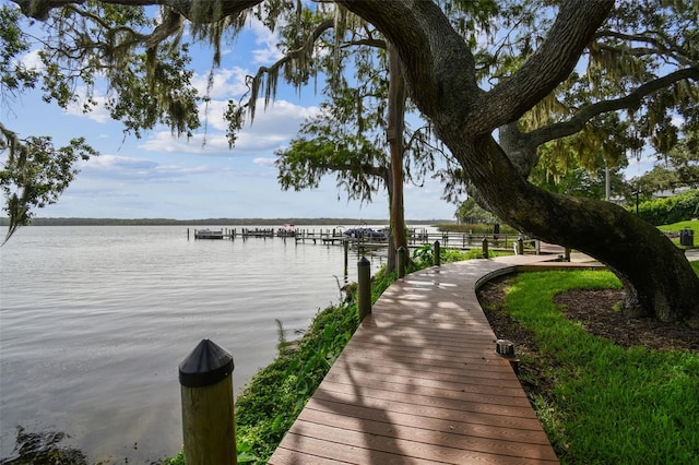 3308 Landing Pl, Palm Harbor, FL 34684 - dock area with a water view