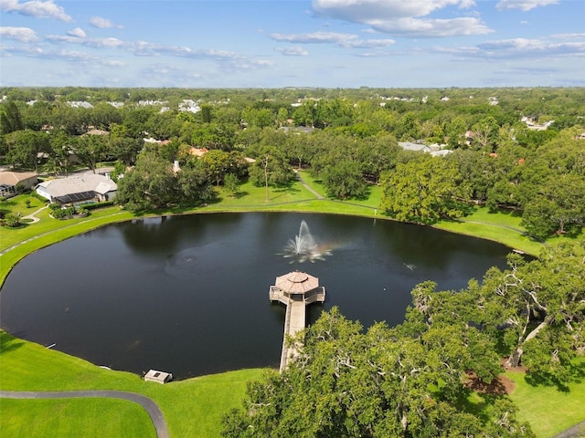 3308 Landing Pl, Palm Harbor, FL 34684 - bird's eye view of a large body of water