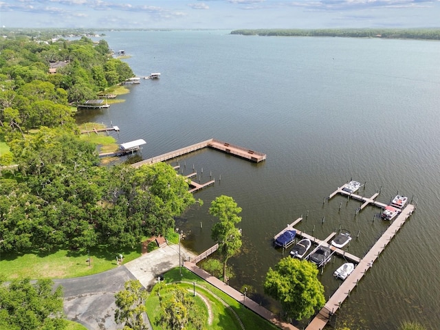 3308 Landing Pl, Palm Harbor, FL 34684 - aerial view of a large body of water