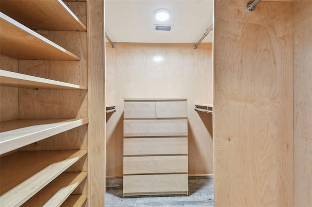3308 Landing Pl, Palm Harbor, FL 34684 - view of walk in closet