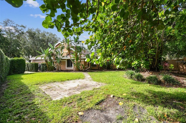 3308 Landing Pl, Palm Harbor, FL 34684 - view of yard