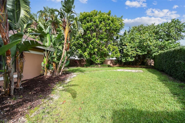 3308 Landing Pl, Palm Harbor, FL 34684 - view of yard