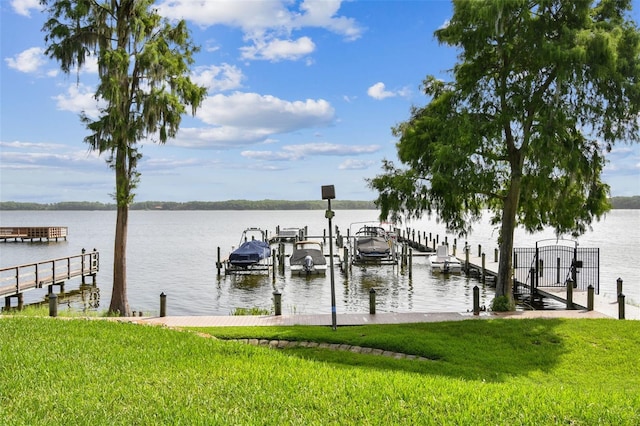 3308 Landing Pl, Palm Harbor, FL 34684 - dock area featuring boat lift, a water view, and a yard