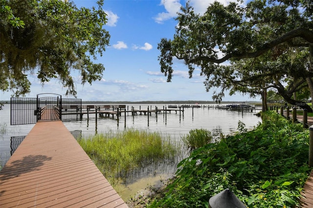 3308 Landing Pl, Palm Harbor, FL 34684 - dock area with a water view and a gate