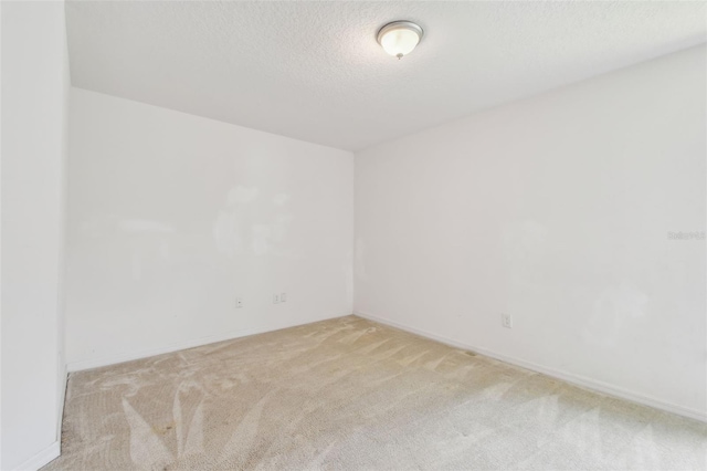 11837 Thicket Wood Dr, Riverview, FL 33579 - photo 21