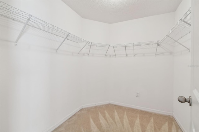 11837 Thicket Wood Dr, Riverview, FL 33579 - photo 22