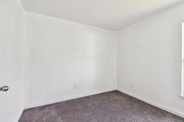 11837 Thicket Wood Dr, Riverview, FL 33579 - photo 39