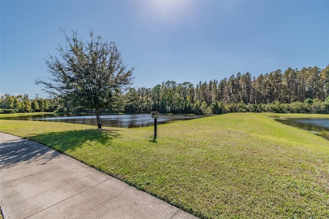 11837 Thicket Wood Dr, Riverview, FL 33579 - photo 70