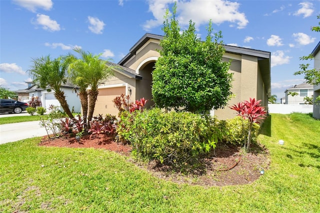 11837 Thicket Wood Dr, Riverview, FL 33579 - photo 91