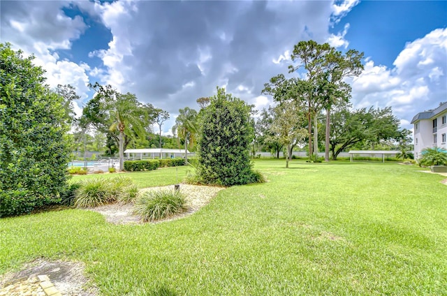 4801 Airport Rd Unit 211, Zephyrhills, FL 33542 - view of green lawn
