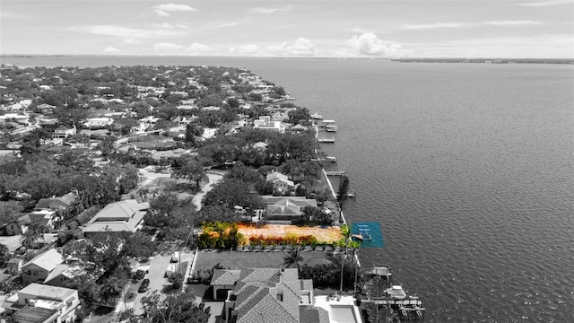 214 Blanca Ave, Tampa, FL 33606 - photo 28