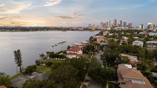 214 Blanca Ave, Tampa, FL 33606 - photo 39