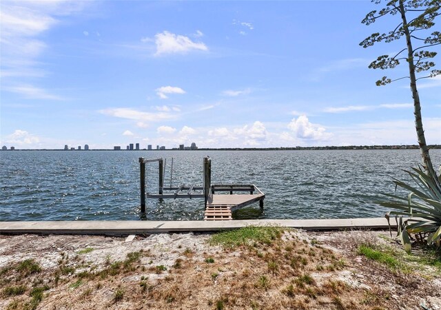 214 Blanca Ave, Tampa, FL 33606 - photo 15