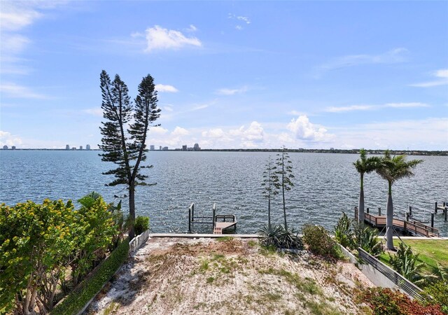 214 Blanca Ave, Tampa, FL 33606 - photo 33