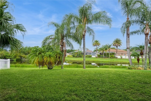 2511 Indian Key Dr, Holiday, FL 34691 - photo 34