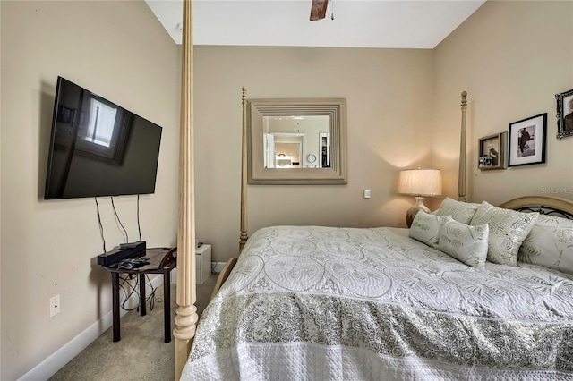 4155 Barletta Ct, Wesley Chapel, FL 33543 - carpeted bedroom with baseboards