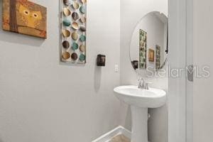 1395 White Fox Run, Lutz, FL 33549 - bathroom with baseboards