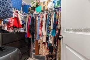 1395 White Fox Run, Lutz, FL 33549 - view of spacious closet