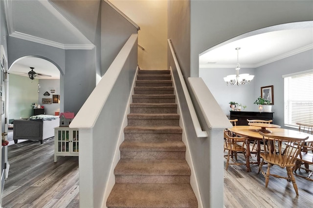 12316 Streambed Dr, Riverview, FL 33579 - stairway with arched walkways, a ceiling fan, wood finished floors, and ornamental molding
