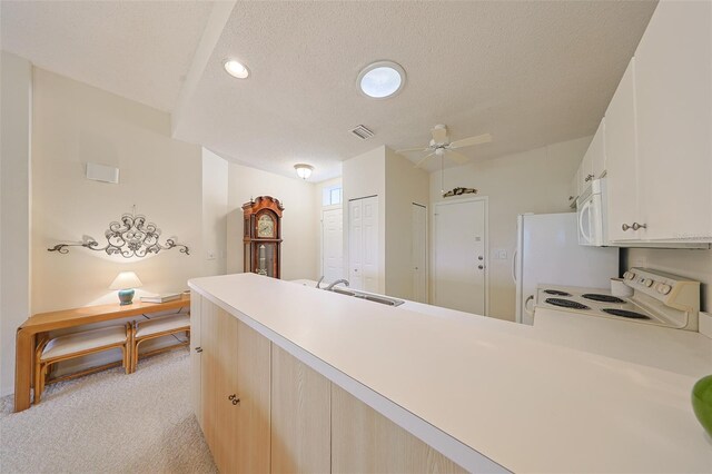 1012 Radison Lake Ct Unit 59, Sun City Center, FL 33573 - kitchen with white appliances, a sink, a peninsula, light colored carpet, and a textured ceiling