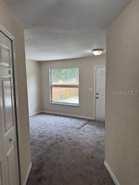 4793 Pleasant Ave, Palm Harbor, FL 34683 - photo 3