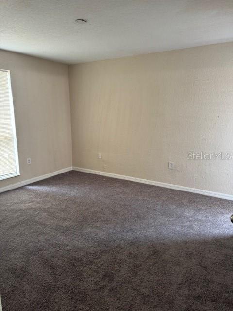 4793 Pleasant Ave, Palm Harbor, FL 34683 - photo 5