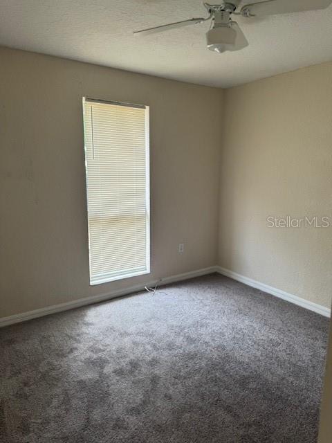 4793 Pleasant Ave, Palm Harbor, FL 34683 - photo 7
