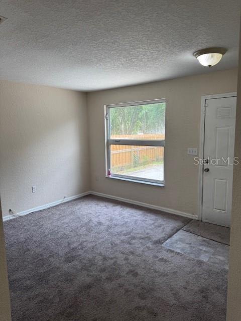 4793 Pleasant Ave, Palm Harbor, FL 34683 - photo 9