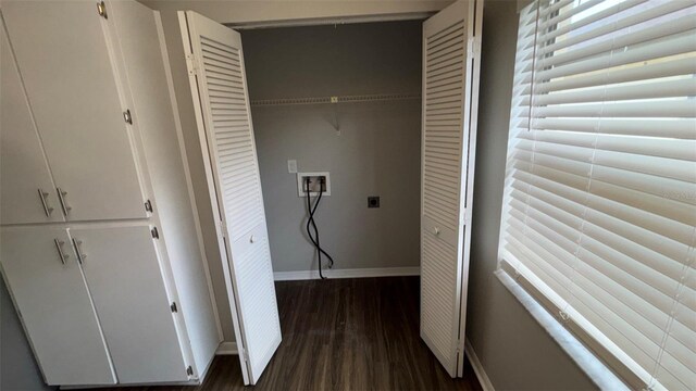 12804 Millridge Forest St, Tampa, FL 33624 - washroom with washer hookup, wood finished floors, hookup for an electric dryer, and baseboards