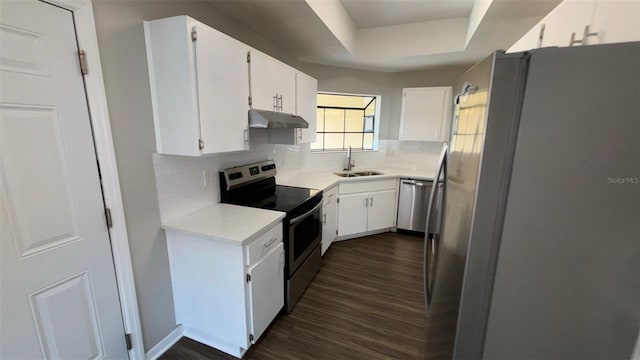 12804 Millridge Forest St, Tampa, FL 33624 - kitchen with appliances with stainless steel finishes, under cabinet range hood, a sink, light countertops, and dark wood finished floors