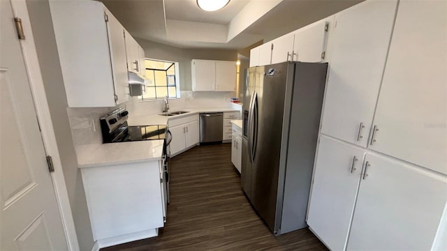 12804 Millridge Forest St, Tampa, FL 33624 - kitchen featuring appliances with stainless steel finishes, backsplash, light countertops, a sink, and under cabinet range hood